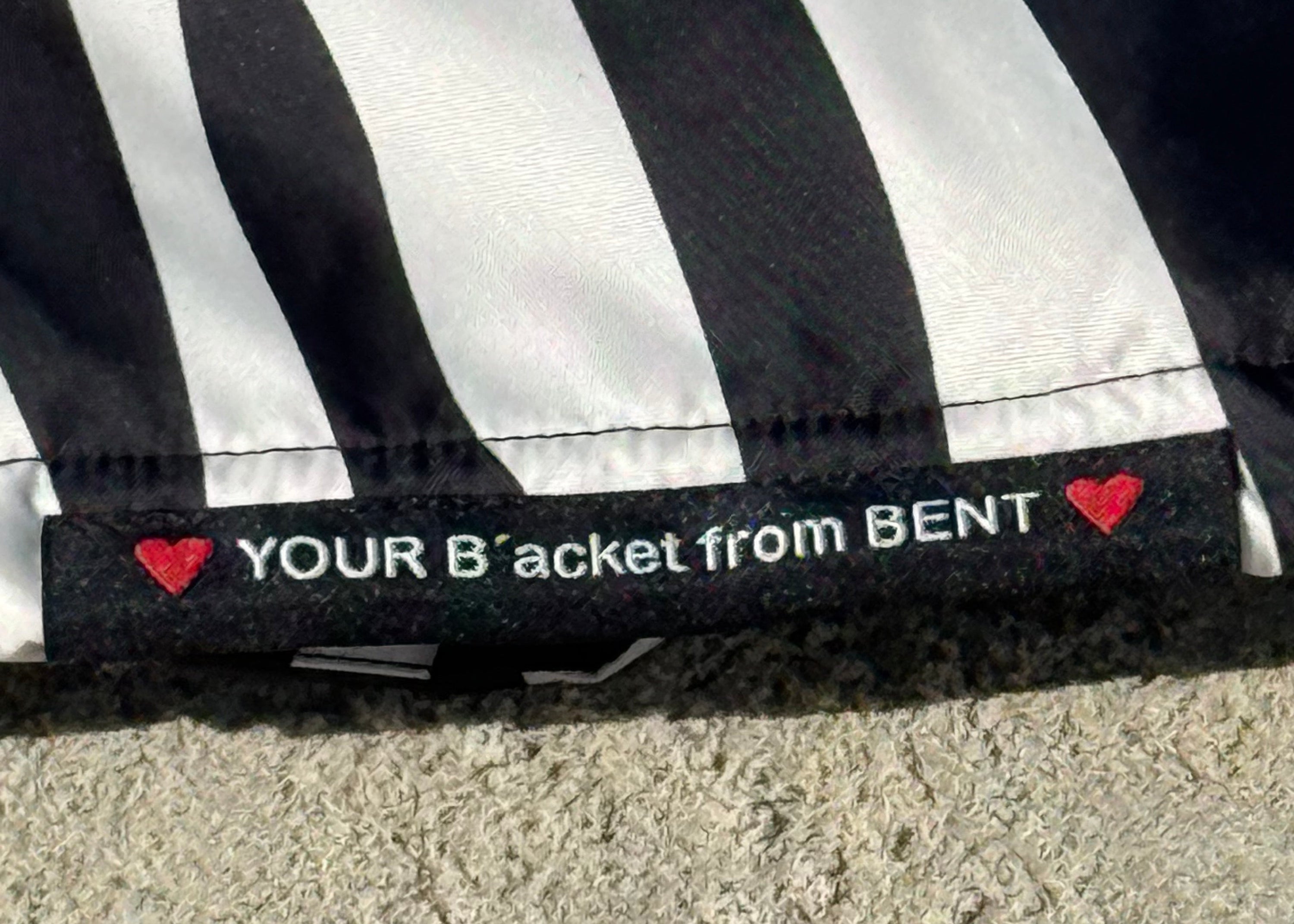 B'acket Zebra