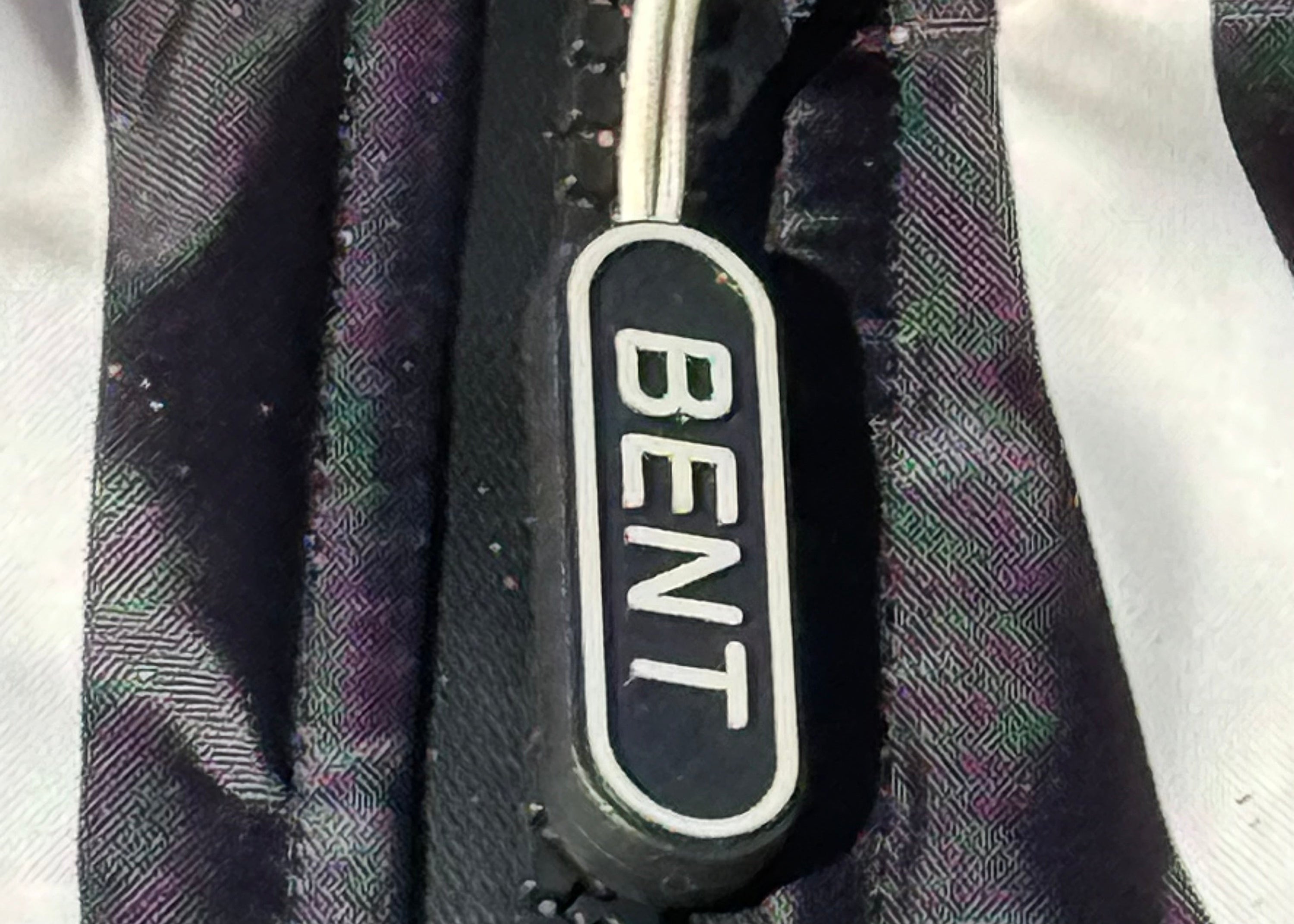 B'acket Zebra