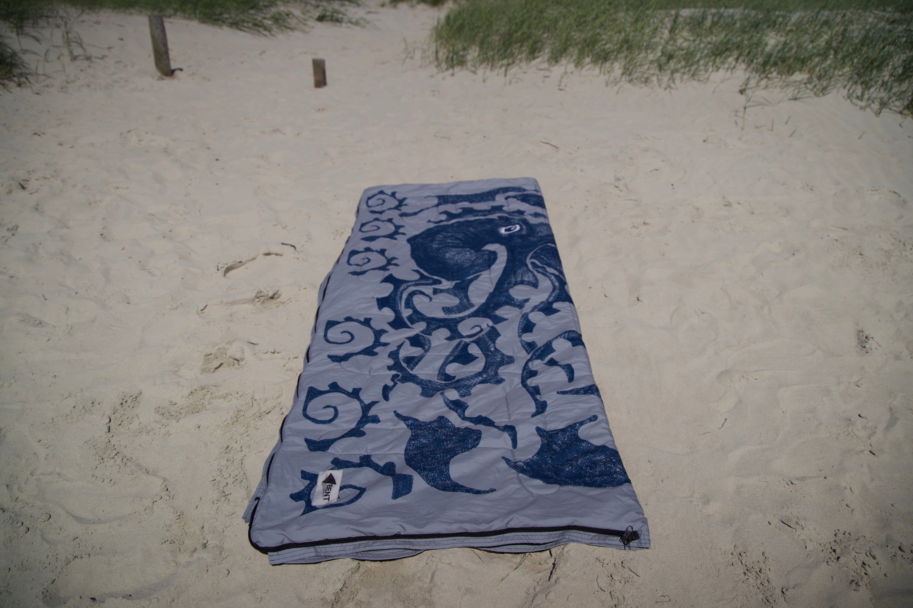 Bentcho Neuseeland Oktopus